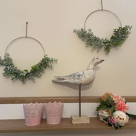 Bellavista 2 Apartman 埃格尔 外观 照片